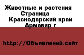  Животные и растения - Страница 28 . Краснодарский край,Армавир г.